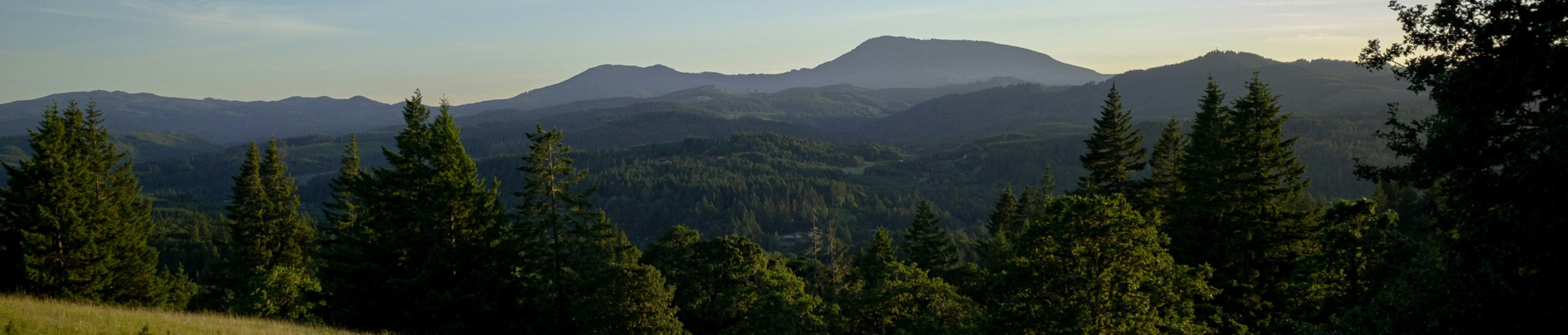 The forest-covered hills and mountains outside Corvallis, Oregon